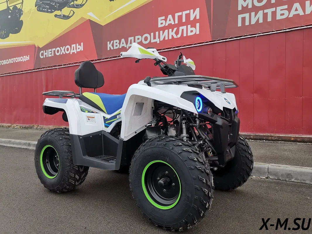 Квадроцикл PROMAX RENEGADE 280 LUX (2025) Квадроцикл PROMAX RENEGADE 280 LUX (2025)