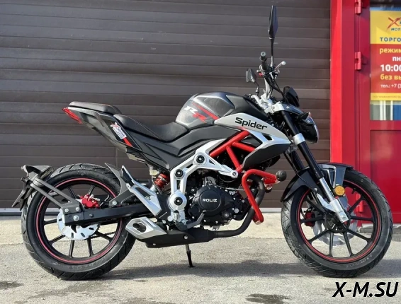 Мотоцикл PROMAX SPIDER 250