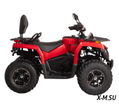 Квадроцикл Bizon YK250 LUX EFI