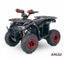 Квадроцикл  YACOTA SIRIUS 110			 			