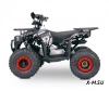 Квадроцикл  YACOTA SIRIUS 110			 			