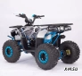 Квадроцикл  YACOTA SIRIUS 110			 			