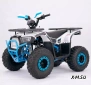 Квадроцикл  YACOTA SIRIUS 110			 			